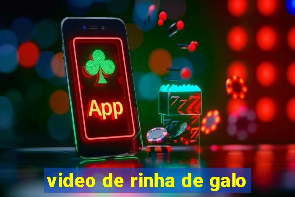 video de rinha de galo